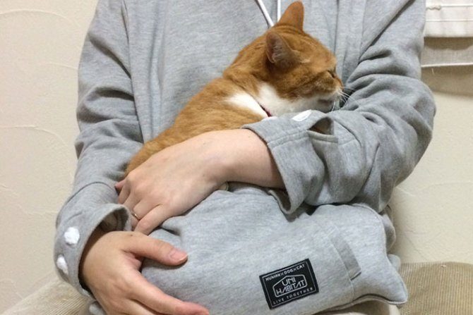 hoodie cat pouch pocket sweatshirt mewgaroo 10 670×447